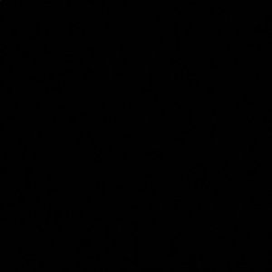 Meet your Posher, Ava